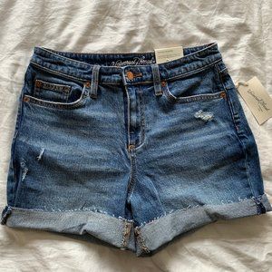 Universal Thread Boyfriend Stretch Denim Shorts